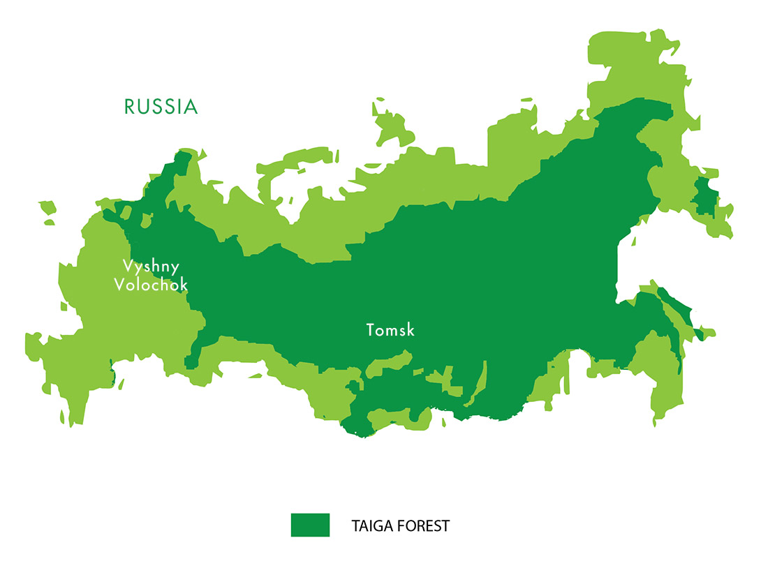 Siberia Forest Map